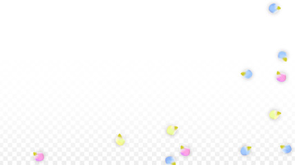 Vector Realistic Colorful Petals Falling on Transparent Background.  Spring Romantic Flowers Illustration. Flying Petals. Sakura Spa Design. Blossom Confetti. Design Elements for Wedding Decoration.