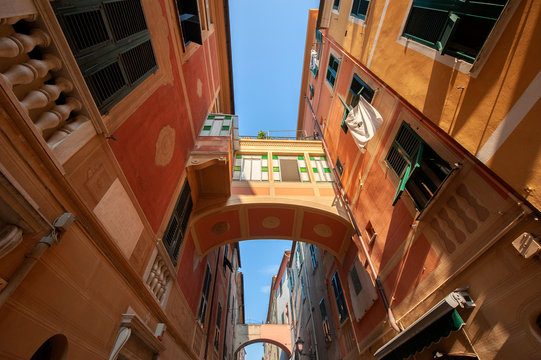 celle ligure