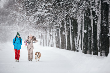 Fototapeta na wymiar Two young women are walking with a dog in winter. Blizzard. Snowfall.