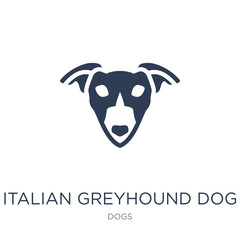 Italian Greyhound dog icon. Trendy flat vector Italian Greyhound dog icon on white background from dogs collection