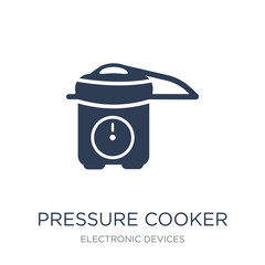 pressure cooker icon. Trendy flat vector pressure cooker icon on