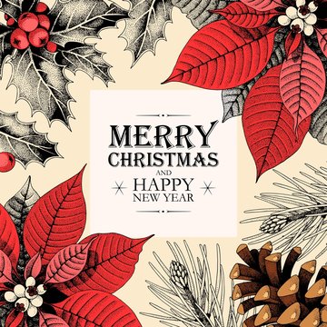 Vector christmas card with holly and pine cones