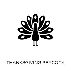 Thanksgiving peacock icon. Thanksgiving peacock symbol design from United states of america collection.
