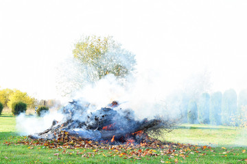 Campfire flame and smoke with burning dry grass and leaves in autumn day with copy space. Seasonal garden work and backyard cleaning concept.