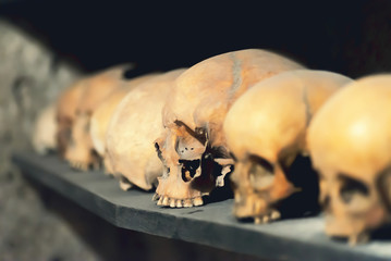 skulls of monks in the crypt of the monastery