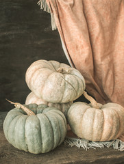 Still life with pumpkins