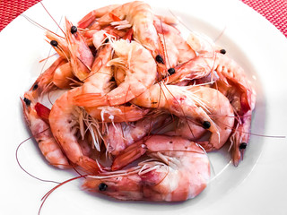 Boiled shrimps on white plate