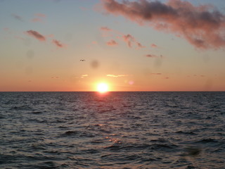 Kamchatka sea
