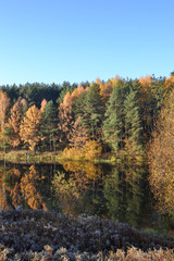 Autumn landscape with colorful forest. Colorful foliage over the lake with beautiful forests in red and yellow colors. Autumn forest is reflected in the water.
