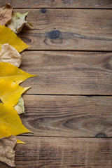 background autumn yellow leaves on wooden background