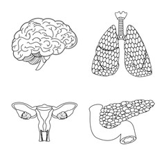 Isolated object of body and human sign. Set of body and medical vector icon for stock.