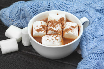 Hot chocolate with marshmallows on the table