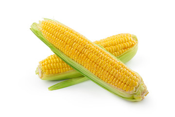 Corn on a white background