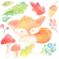 watercolor cartoon illustration. warm autumn collection. fox, oak leaves, acorn, berries, harvest isolated on white background