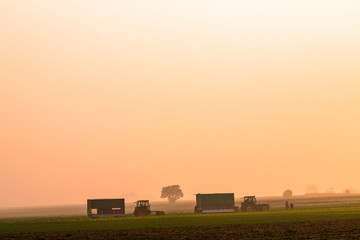 Landwirtschaft im Oktober im Nebel