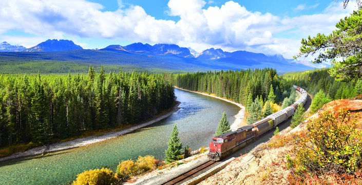 Fototapeta Train passing famous Morant's curve at Bow Valley in autumn ,Banff National Park, Canadian Rockies,Canada.