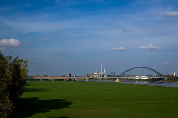 Fototapeta na wymiar Rheinwiesen in Düsseldorf
