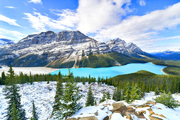 View from Bow Summit of Peyto lake in Banff National Park, Alberta, Canada.