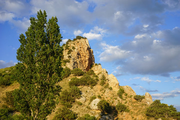 Natural landscape with a high cliff covered with vegetation in the background of the cloudy sky.