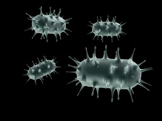 3d rendering Virus bacteria cells background
