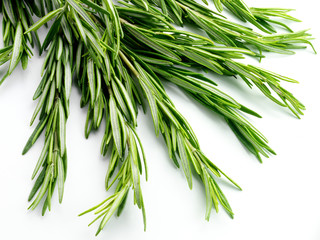 ROSEMARY