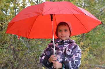 adorable children, boy brothers, playing in park with red rainbow umbrella on a rainy autumn day