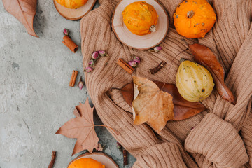 Flat lay composition fall season, Wool sweater with pumpkins dry leaves,  cozy autumn  image