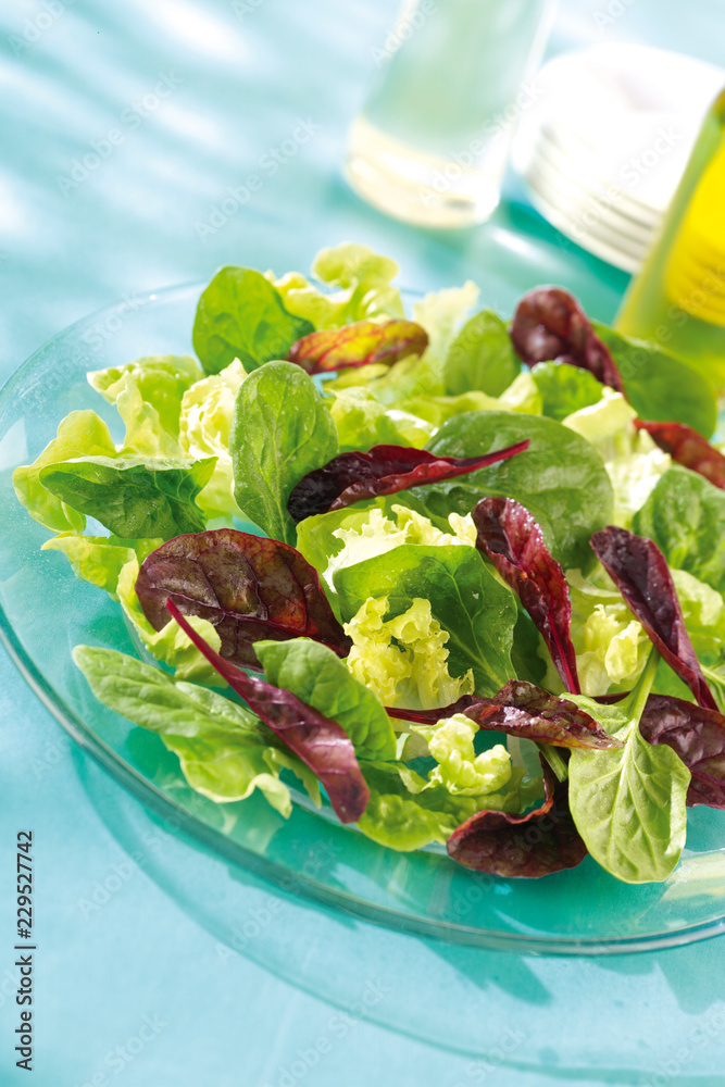 Poster GREEN SALAD