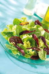 GREEN SALAD