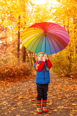 Child in autumn park. Happy adorable boy with fall leaves. The concept of childhood, family and kid laughs outdoors. 
