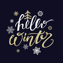 Fototapeta na wymiar Winter holidays - lettering hand drawn banner