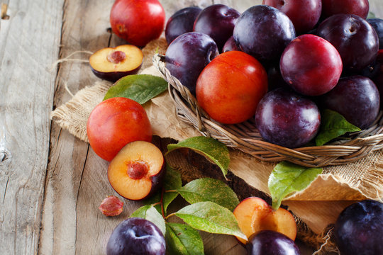 Fresh plums with leaves