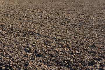 acker field agrar agriculture struktur feld boden structure kahl trocken no people day