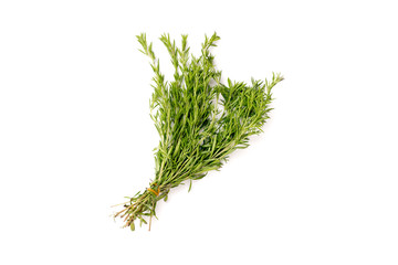 Bunch of organic rosemary isolated with copy space