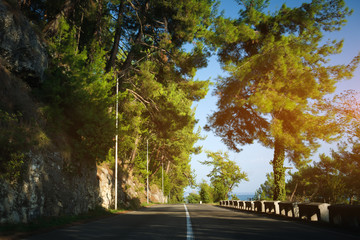 coastline road landscape