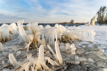 Icicles on the shore of a lake during a cold spell in The Netherlands