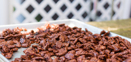 Fresh sugar glazed cinnamon roasted pecans on a metal cookie sheet.