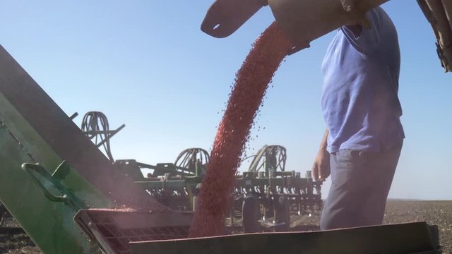 farmer looks as corn is poured into a grain thrower with warning label on agricultural field during the autumn harvest