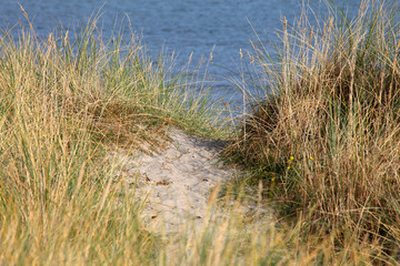 Düne vor der Ostsse