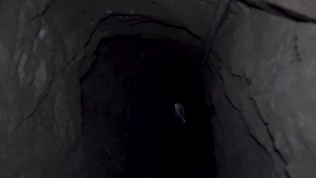 a guy with a torch goes to the cave