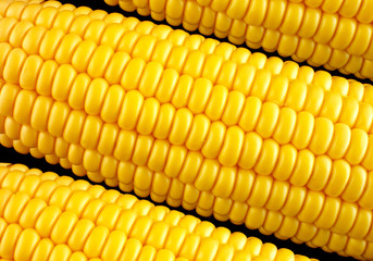 CORN