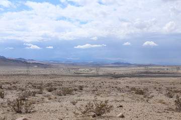 desert landscape