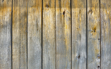 Vertical vintage wooden fence. Empty background of wooden lacquered panels with iron circles on the surface.