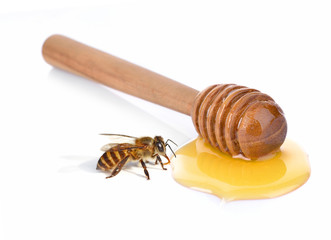 Honey dipper with bee,Honey drip isolated on white background