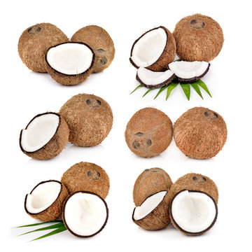 Coconuts  on a white background