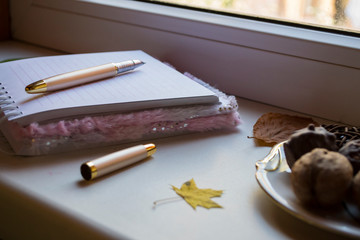 Opened notebook and pen on white table, close up.