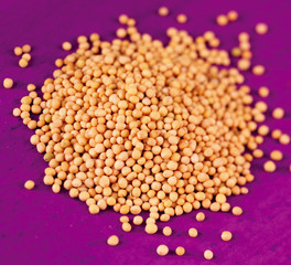 LIGHT MUSTARD SEEDS