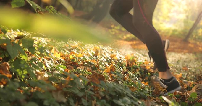 Female runner in an autumn park. Close-up of woman's legs in jogging suit and snickers running on the fallen leaves in a park