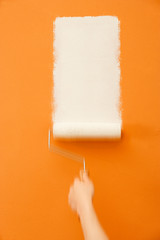 ROLLER APPLYING WHITE PAINT ON ORANGE WALL
