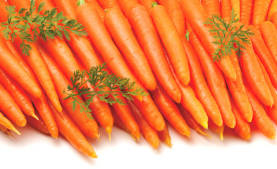 LOTS OF CARROTS